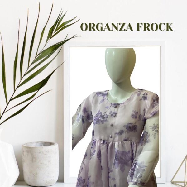 Organza Frock - Image 2