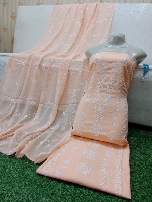 Chikankari with Jaal Dupatta Hand work Embroidery 3 Piece - Image 6